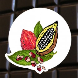 Brut de cacao au fèves de cacao