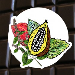 Brut de cacao menthe