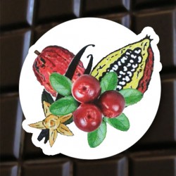 Chocolat noir Cranberry