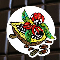 Chocolat noir au Guarana d'Amazonie