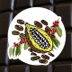 Chocolat noir café