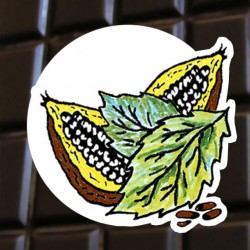 Chocolat noir menthe
