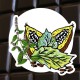 Chocolat noir menthe poivrée