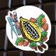 Chocolat noir pralin