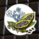 Chocolat noir lin
