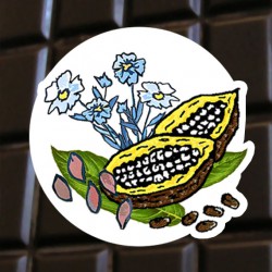 Chocolat noir lin
