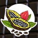 Chocolat noir 80% cacao
