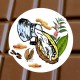 Chocolat au lait Sésame cacahette