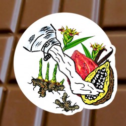 Chocolat au lait Gingembre