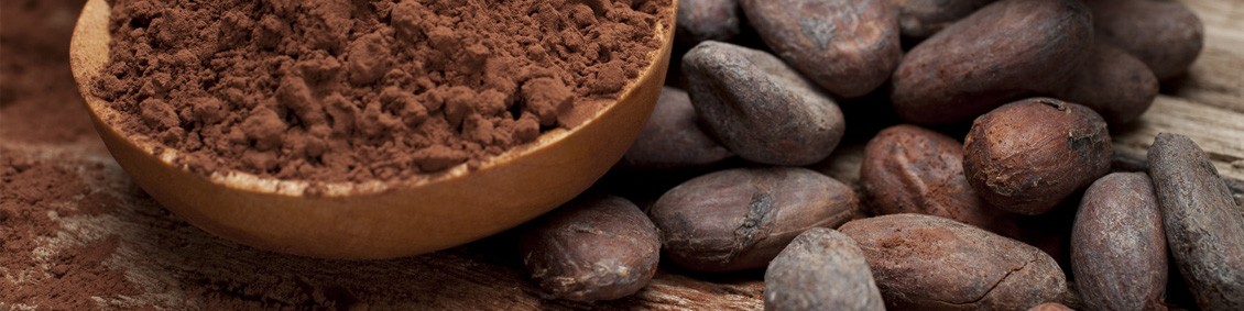 Poudre et fèves de cacao pour la fabrication du chocolat bio